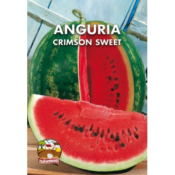 Wassermelone Purpur Süß