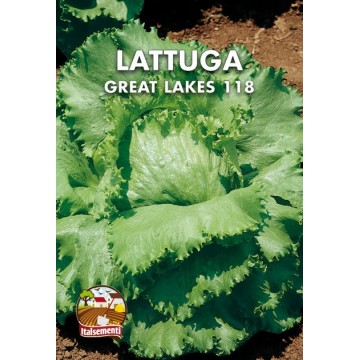 Lattuga Great Lakes 118...