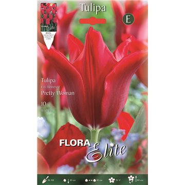 Tulipano Lily Flowered Pretty Woman