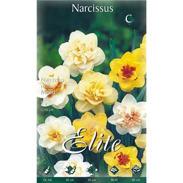 Narciso Trumpet Goblet