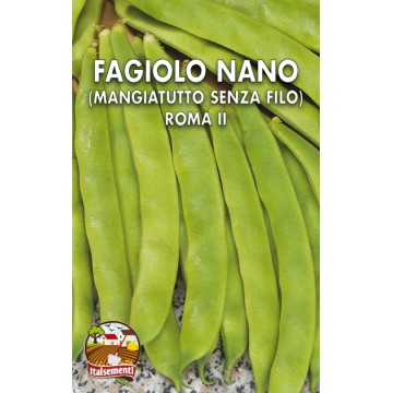 Fagiolo Nano Roma II