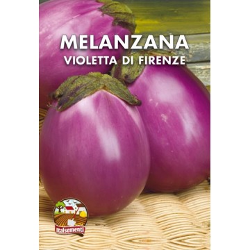 Melanzana Violetta di Firenze