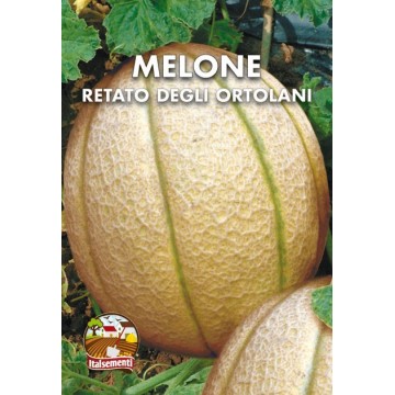 Netted Melon of the Ortolani
