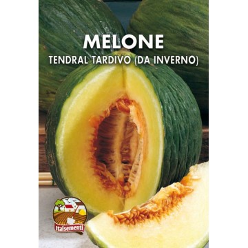 Melon tendral tardif (pour...