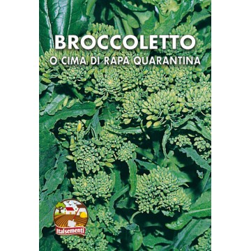 Broccoli or Turnip Tops Quarantina