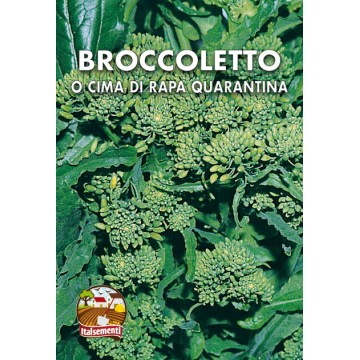 Fanes de brocoli ou de navet Quarantina