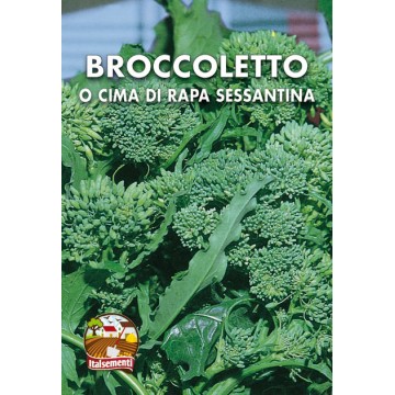 Broccoletto o Cima di Rapa Sessantina