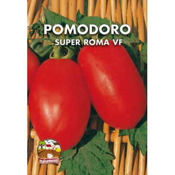 Super Roma VF Tomate