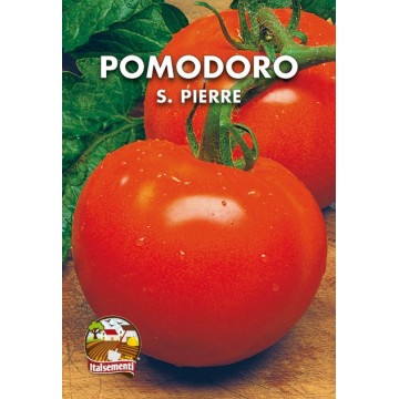 Pomodoro Saint Pierre