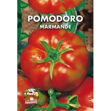 Marmande tomato