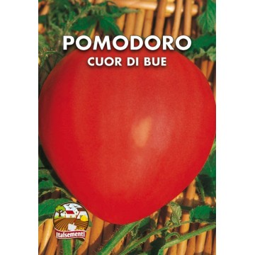 Pomodoro Cuor di Bue