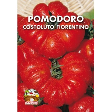 Florentine Costoluto Tomato