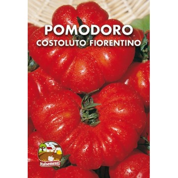 Pomodoro Costoluto Fiorentino