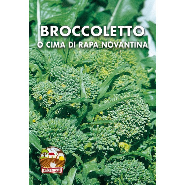 Broccoletto o Cima di Rapa Novantina
