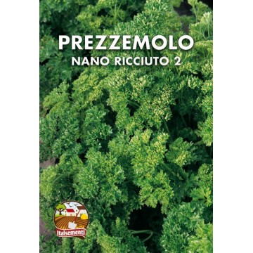 Prezzemolo Nano Ricciuto 2