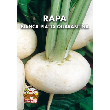 Rapa Bianca Piatta Quarantina