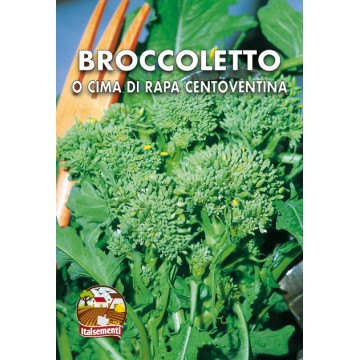 Brokkoli- oder Rübenspitzen Centoventina