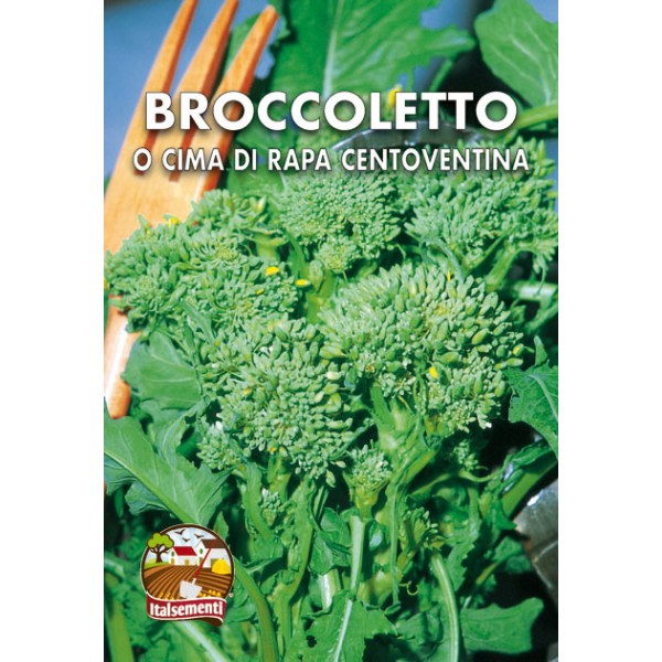 Broccoletto o Cima di Rapa Centoventina