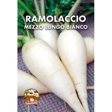 Ramolaccio Lungo Bianco