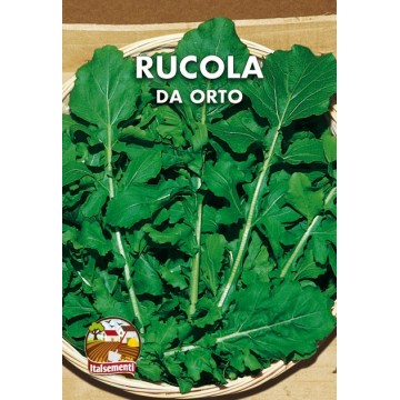 Gemüse-Rucola