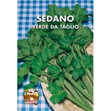 Sedano Verde da Taglio