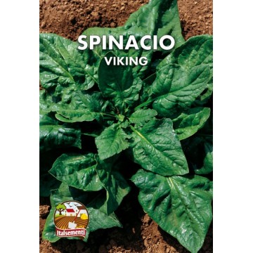 Viking Spinach