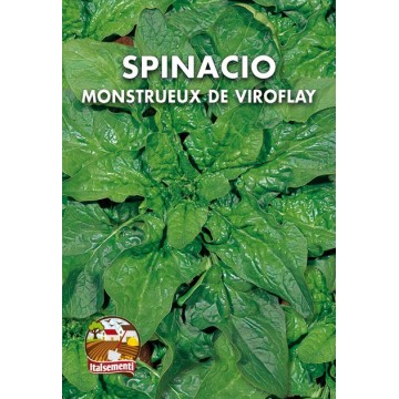 Spinach Mostrueux De Viroflay