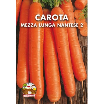 Carota Mezza Lunga Nantese 2