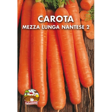 Carrot Half Long Nantese 2