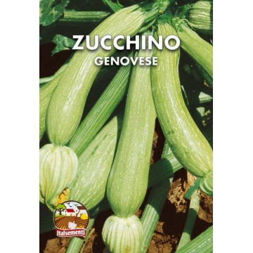 Genoese Zucchini