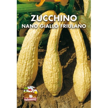 Friulian Yellow Dwarf Zucchini