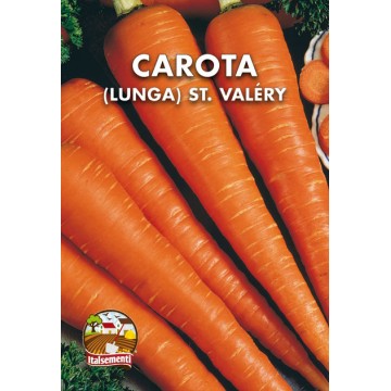 Carrot St. Valéry