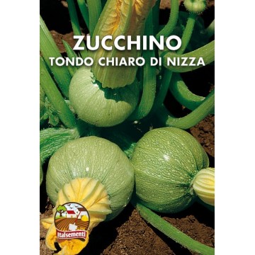 Helle runde Zucchini aus Nizza