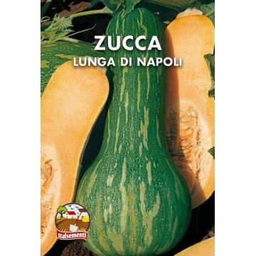 Zucca Lunga di Napoli