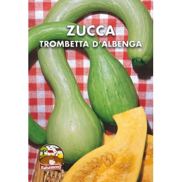 Zucca Trombetta di Albenga