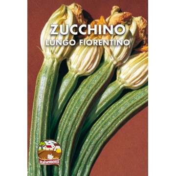 Florentine Long Zucchini