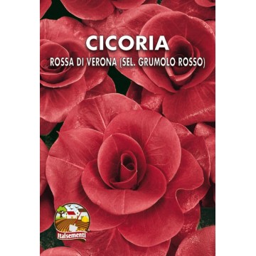 Cicoria Rossa di Verona...