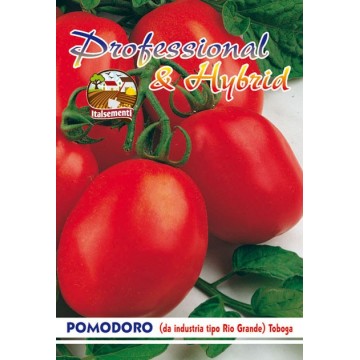 Rio Grande Tomate (aus der...