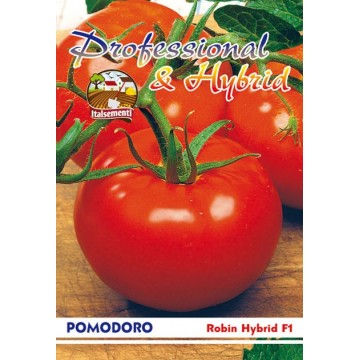 Pomodoro Robin F1
