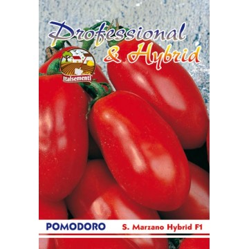 Pomodoro San Marzano F1