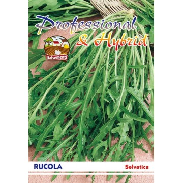 Rucola Selvatica