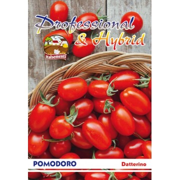 Datterino Tomate
