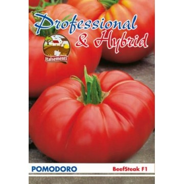 Tomate Beefsteak F1 - Steak