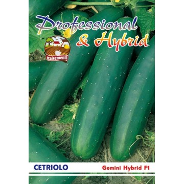 Gemini F1 Cucumber