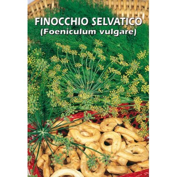 Finocchio Selvatico