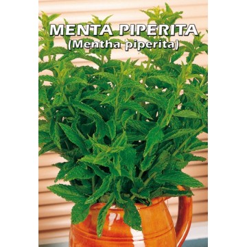 Menta Piperita