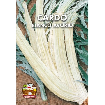 Cardo Bianco Avorio