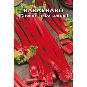 Rhubarb