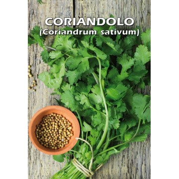 Coriander