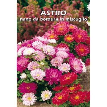 Astro Nano da Bordura in...